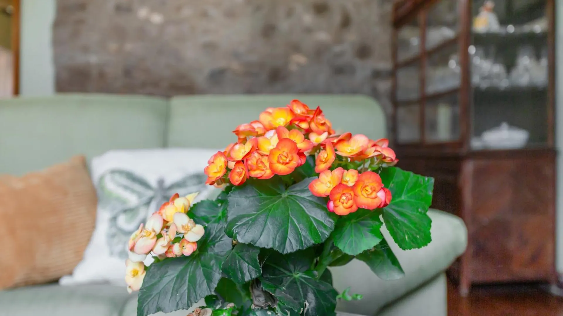Holiday home Casa Isabel Villa Santa Brigida